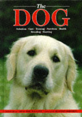 The Dog, The