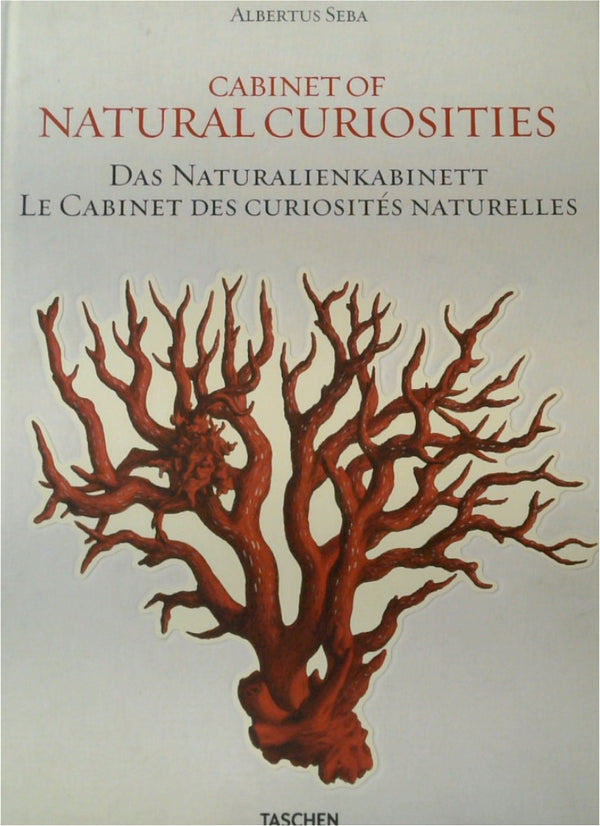 Cabinet of Natural Curiosities / Das Naturalienkabinett / Le cabinet des curiosités naturelles