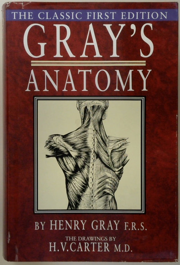 Gray's Anatomy - Descriptive and Surgical