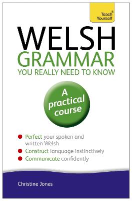 Welsh Grammar You Really Need to Know: Teach Yourself