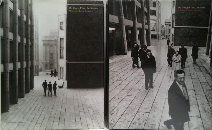The Charged Void: Architecture & Urbanism (Two-Volume Set)