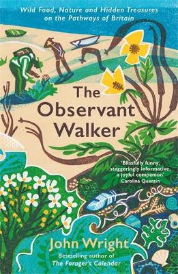 The Observant Walker: Wild Food, Nature and Hidden Treasures on the Pathways of Britain