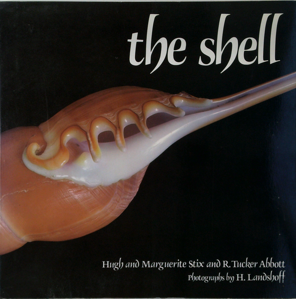 The Shell