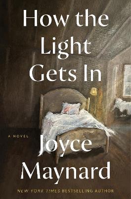 How The Light Gets In: A Novel
