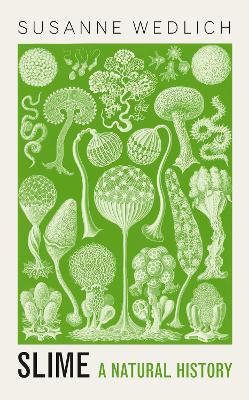 Slime: A Natural History