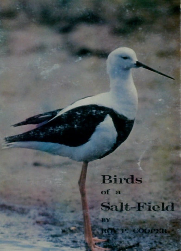 Birds of a Salt-Field