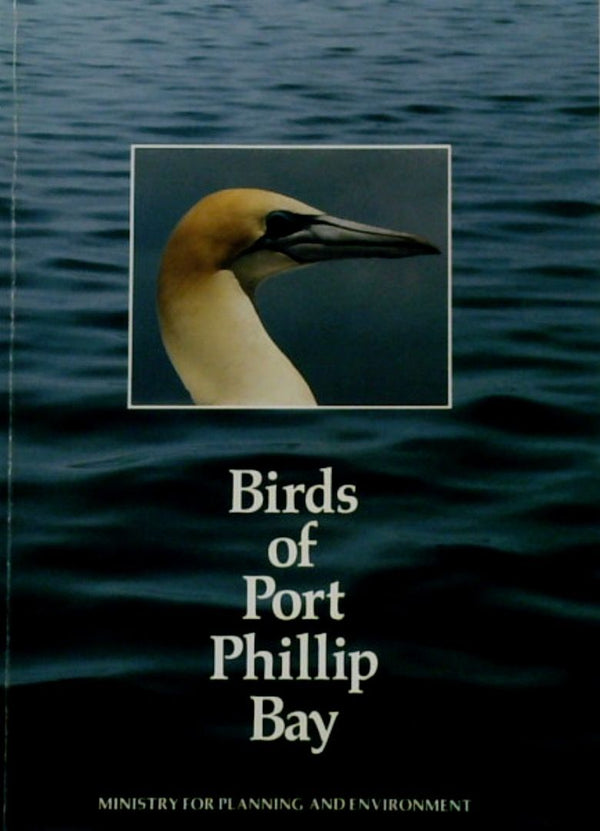 Birds of Port Phillip Bay