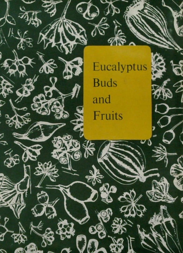 Eucalyptus Buds and Fruits