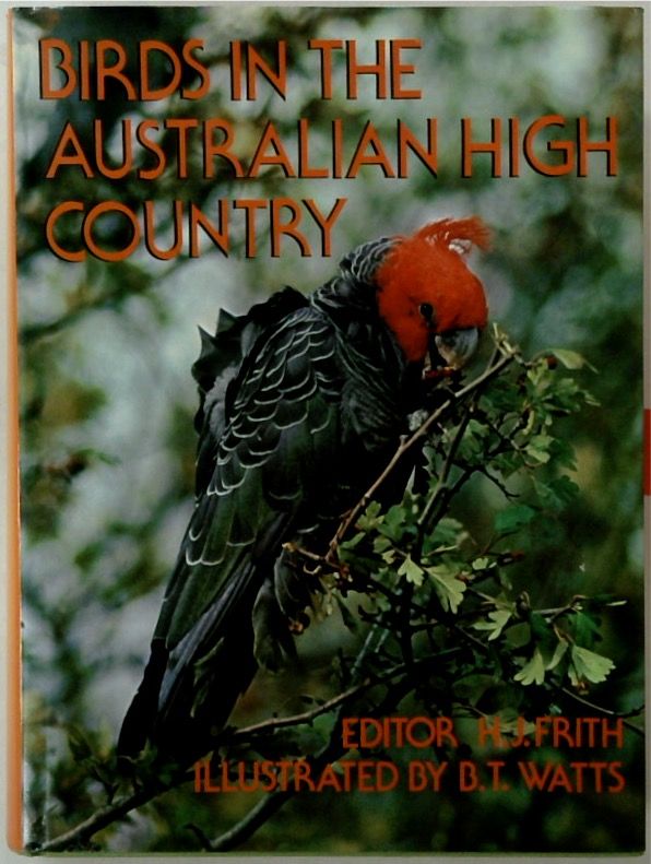 Birds in the Australian High Country