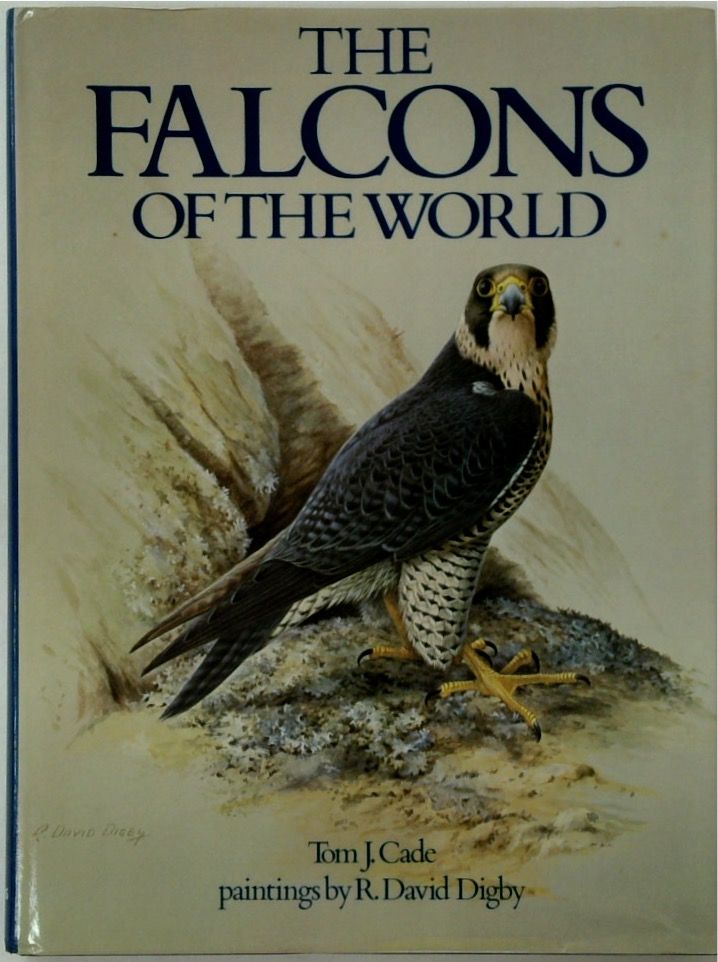 The Falcons of the World