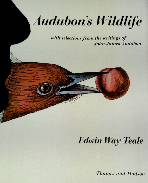 Audubon's Wildlife