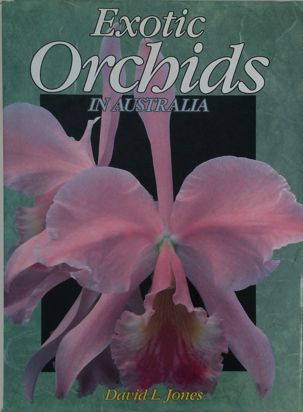 Exotic Orchids In Australia