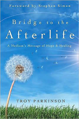 Bridge to the Afterlife: A Medium's Message of Hope and Healing