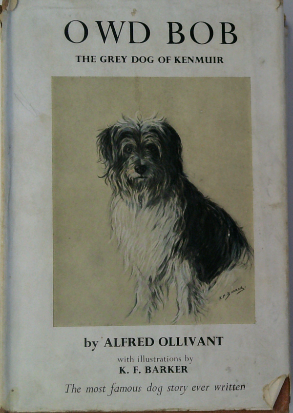 Owd Bob; The Grey Dog Of Kenmuir