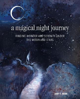 A Magical Night Journey: Finding Wonder and Serenity Under the Moon