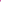 Showjumpers (Pony Club Rivals, Book 2)