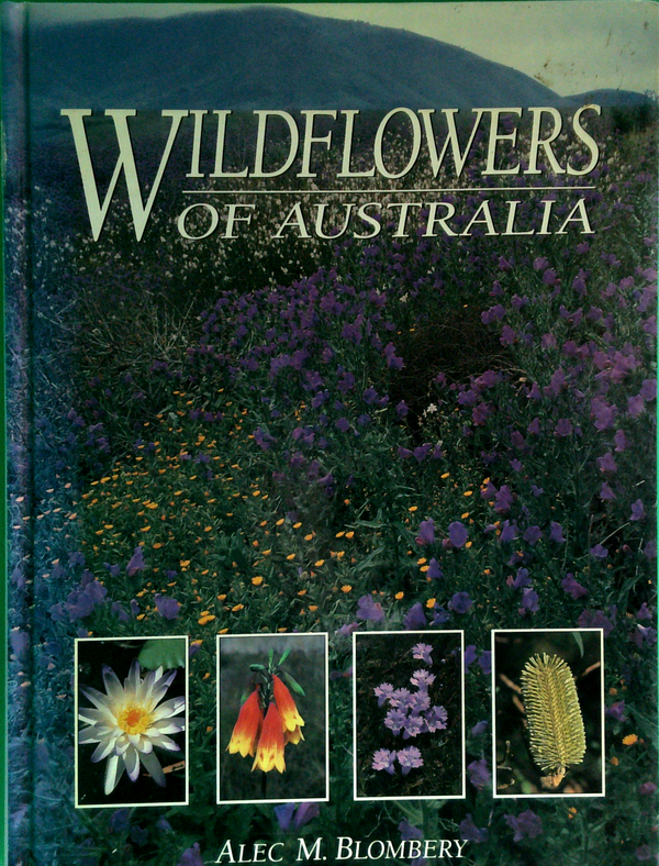 Wildflowers Of Australia