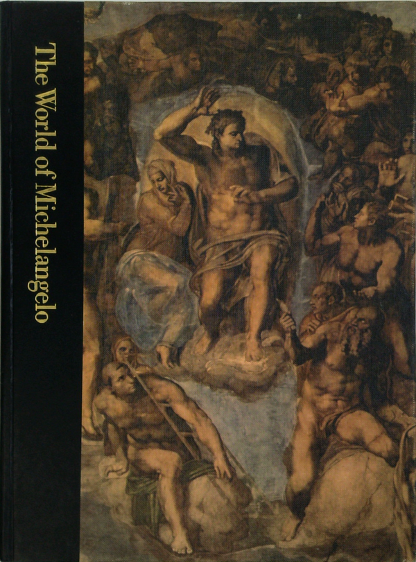 The World Of Michelangelo