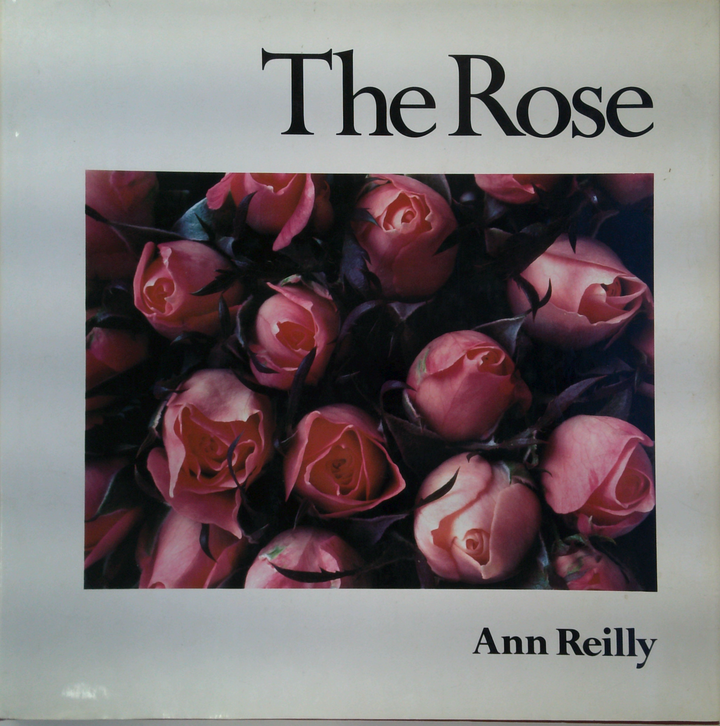 The Rose