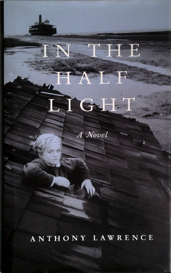 In The Half Light: A Novel