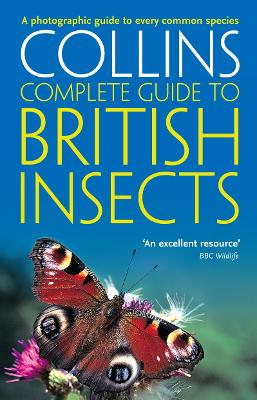 British Insects: A photographic guide to every common species (Collins