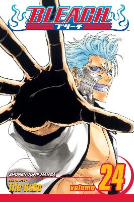 Bleach, Vol. 24: Volume 24