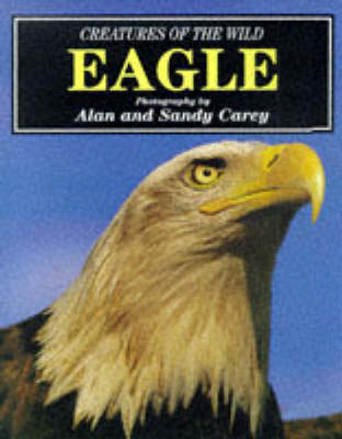Creatures of the Wild: Eagle