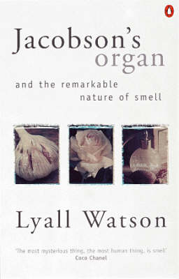 Jacobson's Organ: And the Remarkable Nature of Smell