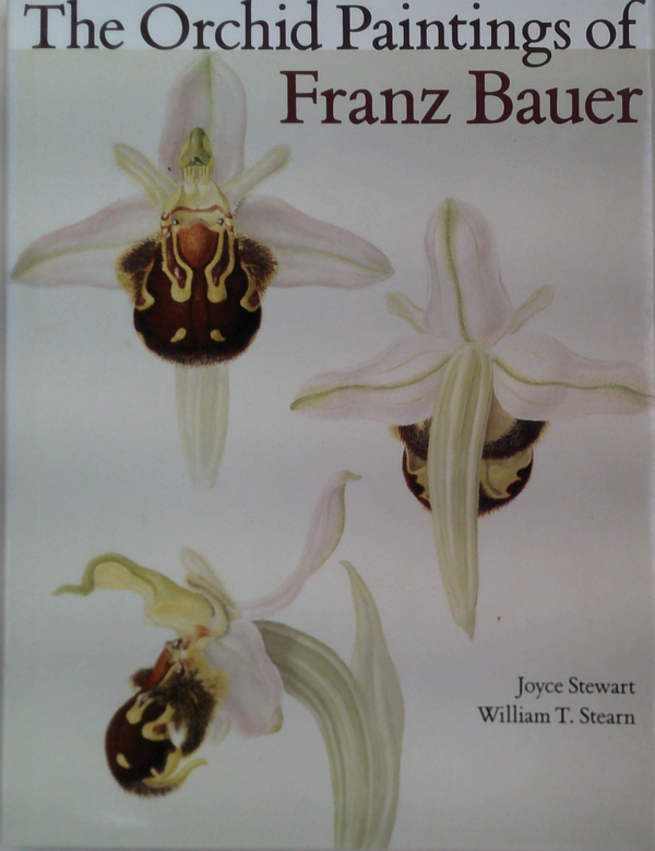 The Orchid Paintings Of Franz Bauer