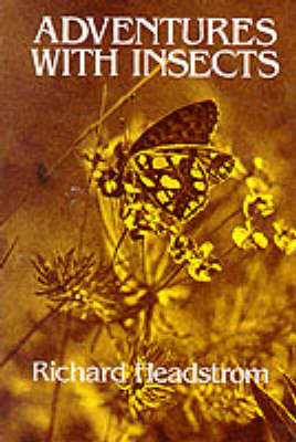 Adventures with Insects