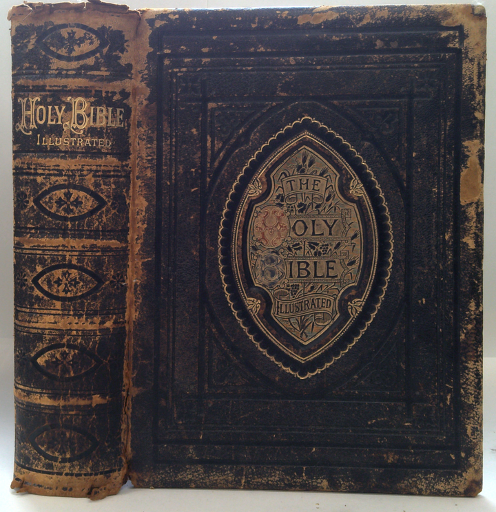 The Holy Bible Illustrated