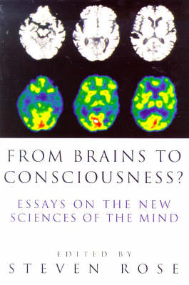 From Brains to Consciousness?: Essays on the New Sciences of the Mind