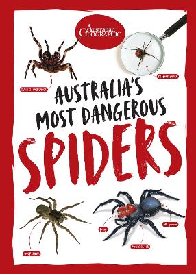 Australia's Most Dangerous Spiders