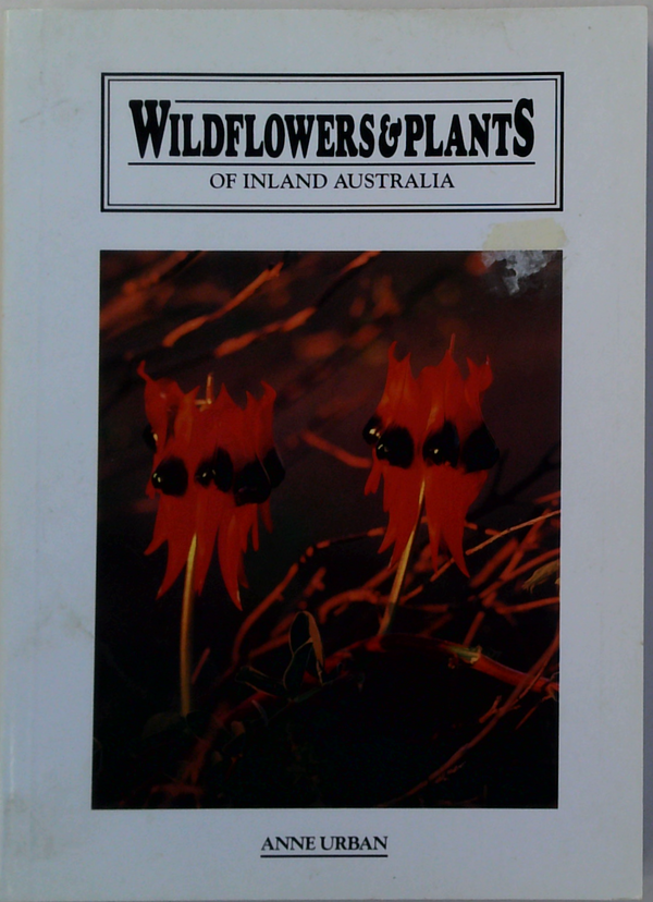Wildflowers & Plants Of Inland Australia