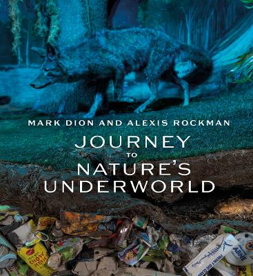 Mark Dion and Alexis Rockman: Journey to Nature's Underworld