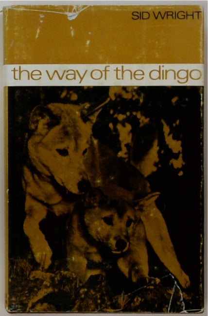 The Way of the Dingo