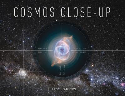 Cosmos Close-Up