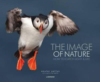 Image of Nature: How to Catch Light & Life