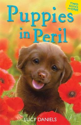 Animal Ark: Puppies in Peril: Pup at the Palace & Dog at the Door