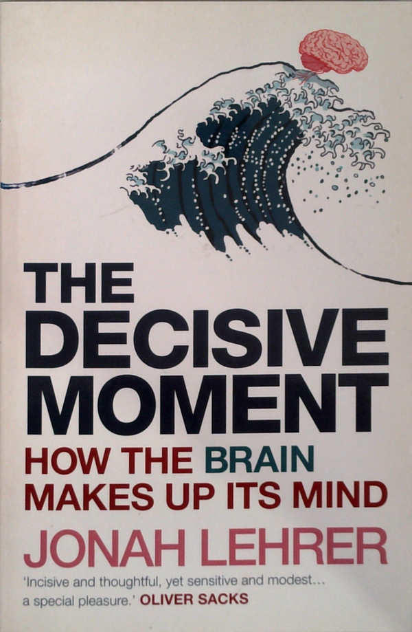 The Decisive Moment: How the Brain Makes Up its Mind