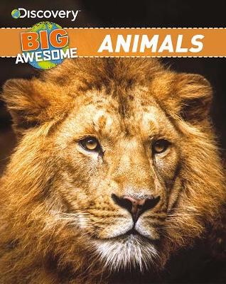 Discovery Big Awesome Animals