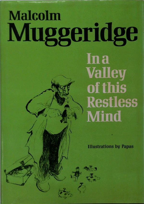 In A Valley Of This Restless Mind