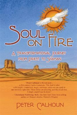Soul On Fire: A Transformational Journey From Priest To Shaman