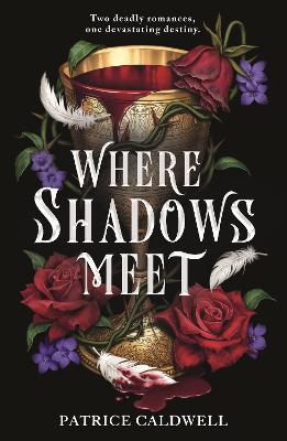 Where Shadows Meet: The instant Sunday Times bestselling sapphic