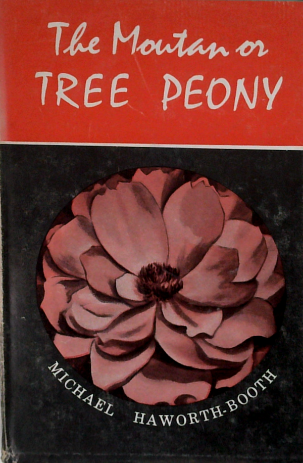 The Moutan Or Tree Peony