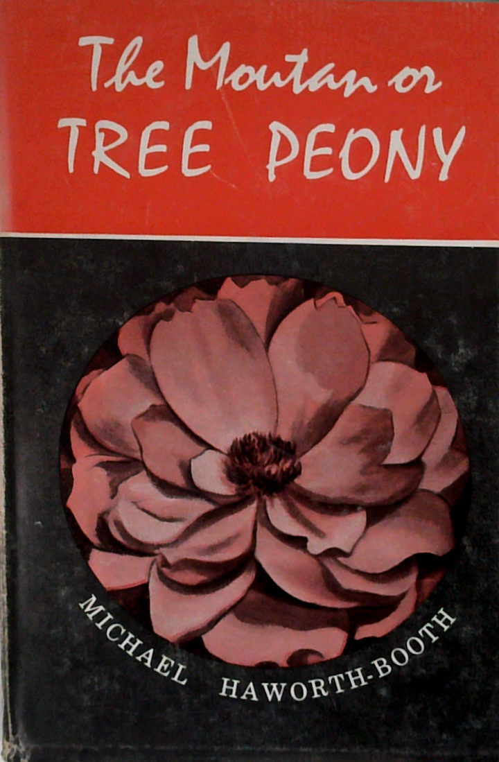 The Moutan Or Tree Peony