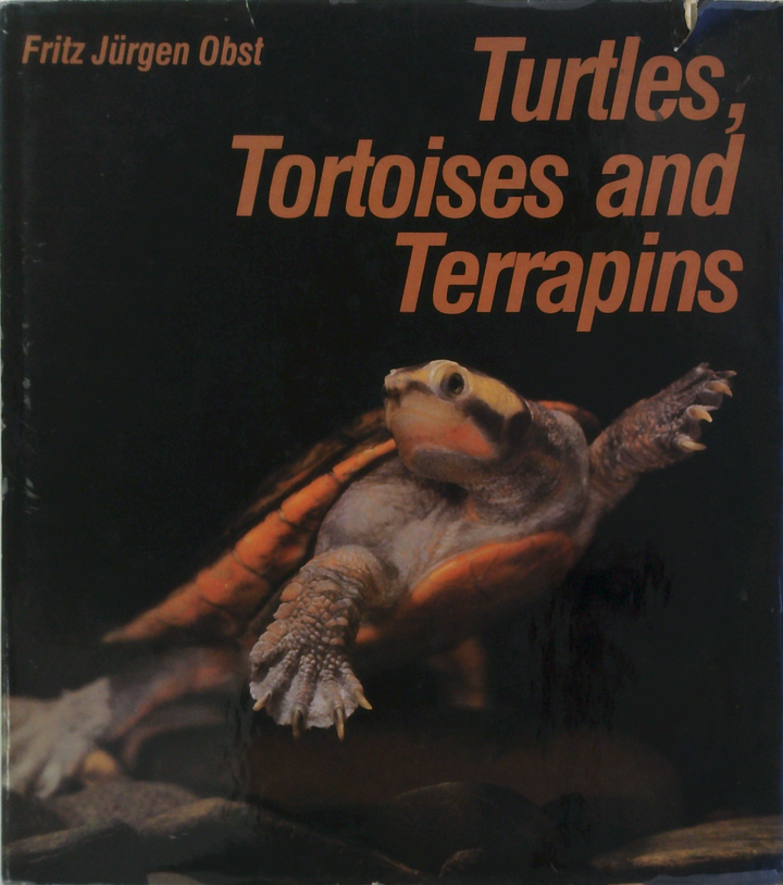 Turtles, Tortoises And Terrapins