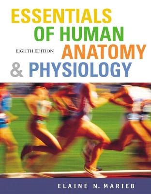 Essentials of Human Anatomy and Physiology