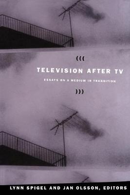 Television After TV: Essays on a Medium in Transition