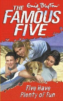Five Have Plenty Of Fun: Book 14